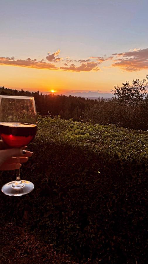 Agriturismo Bellavista サン・ミニアート エクステリア 写真